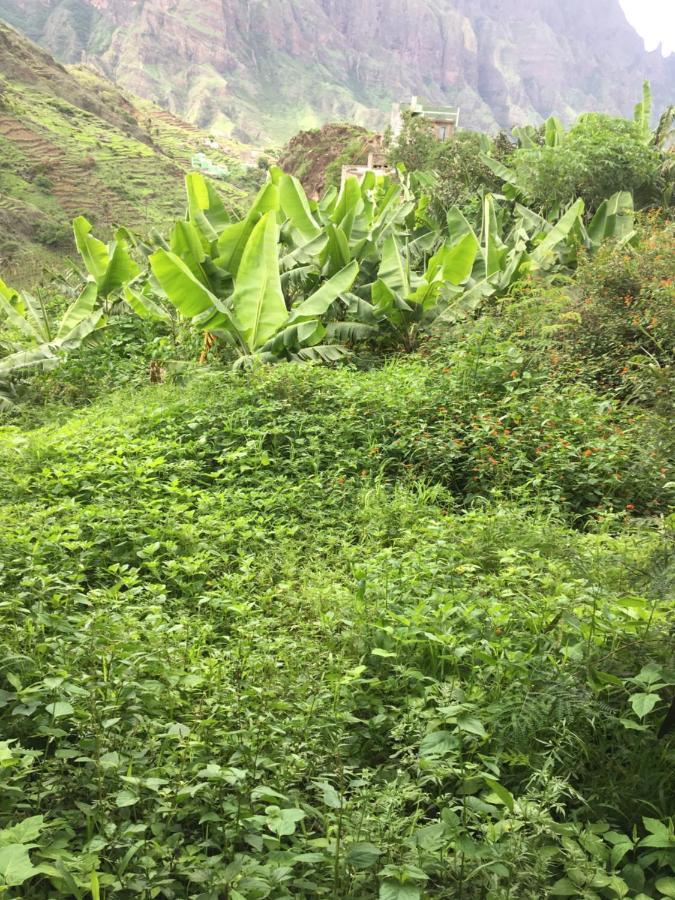 Caculi Pousada Rural Simpatia المظهر الخارجي الصورة